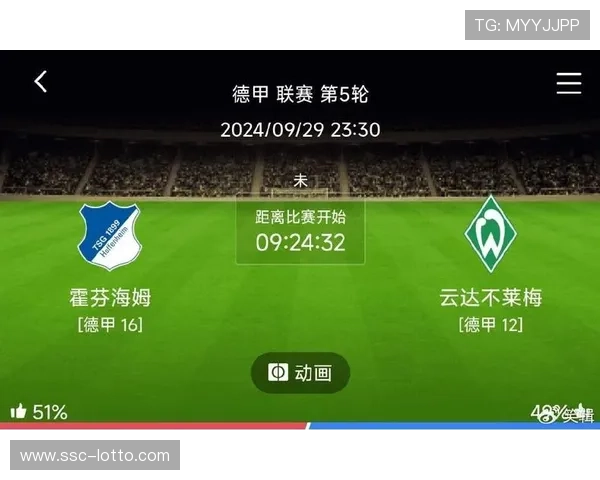 霍芬海姆2-0客胜不莱梅，积分紧追多特蒙德